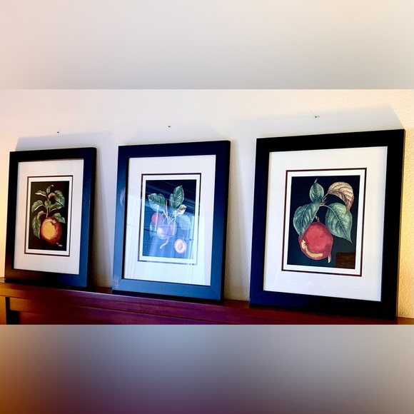 Fruit Theme Framed Art Prints , Set of Two. - Picture 10 of 11
